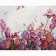 Dreaming of Iris