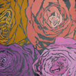 Rose Quartet