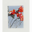 Nasturtium